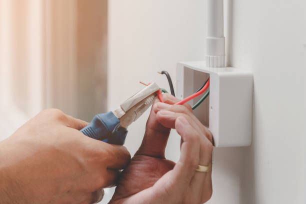 Best Surge Protection Installation  in Loch Lomond, VA